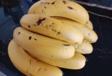 Benefícos da Banana para Atletas