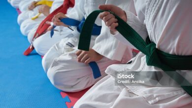 O que é Shotokan