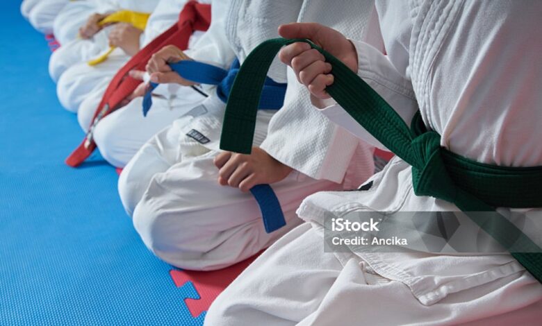 O que é Shotokan