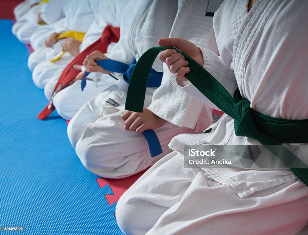 O que é Shotokan